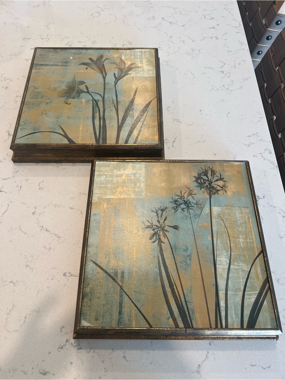 Set of 2 Botanical Design Prints with frames